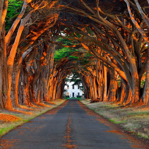 91国精产品㊙️天美一区
